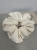 tempImageewY3L0.jpg